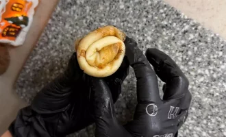 Закуска з млинців і кисломолочного сиру: рецепт для святкового столу